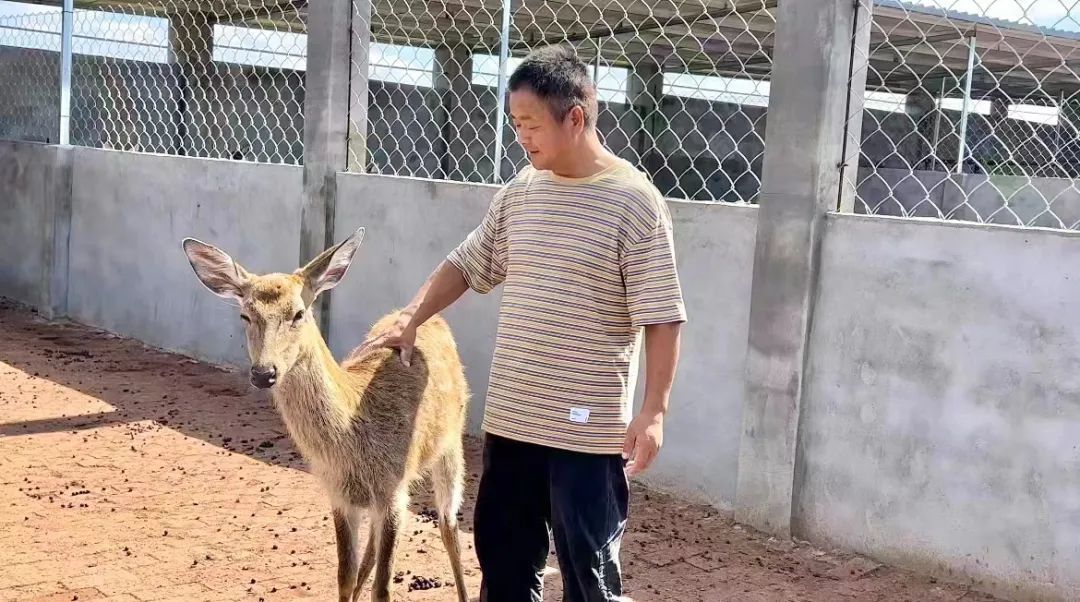 缅甸新锦江官网